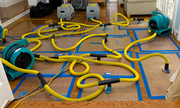 Professional Storm Water Damage Restoration technician working in Taylor, PA
